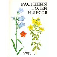 Растения полей и лесов