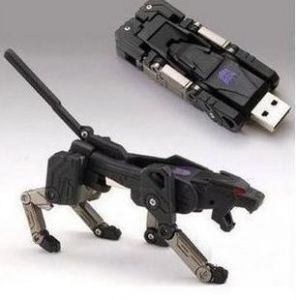 Flash USB REVEGE