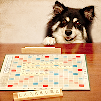 scrabble