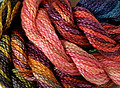 Caron Wildflowers