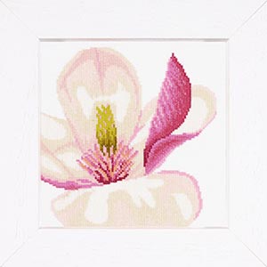 Magnolia Flower