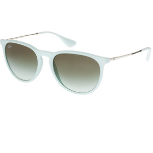 RayBan Erika Sunglasses