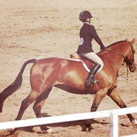 Horse Riding Training