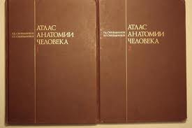 Атлас анатомии человека Синельникова в 4х томах