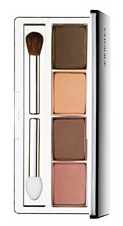 Clinique Colour Surge Eye Shadow Quad