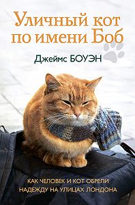 Книга "Уличный кот по имени Боб"