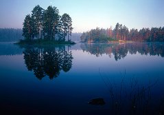 Съездить в Карелию.