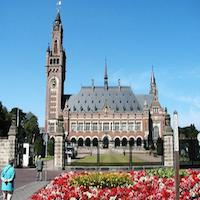 the Hague