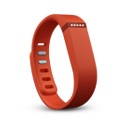 Fitbit Wireless Tracker