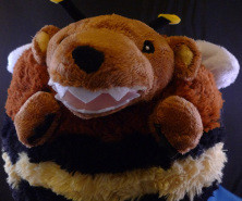 Bumblebear Plushy