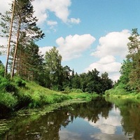 Несколько дней загородного отдыха