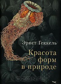 Книга "Красота форм в природе"