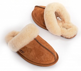 Тапочки UGG