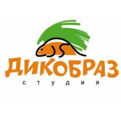 Сертификат в  студию "Дикобраз"