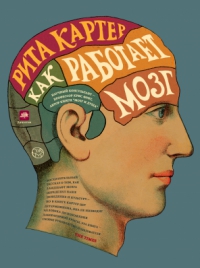 Рита Картер - Как работает мозг