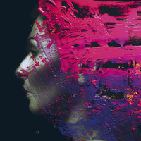 Steven Wilson - Hand. Cannot. Erase (CD)