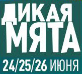 Дикая мята 2016