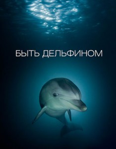 книга Быть дельфином