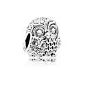 Charming Owls Charm