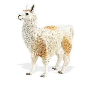 Lama