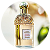 GUERLAIN Aqua Allegoria Ginger Piccante