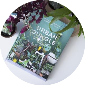 Urban Jungle